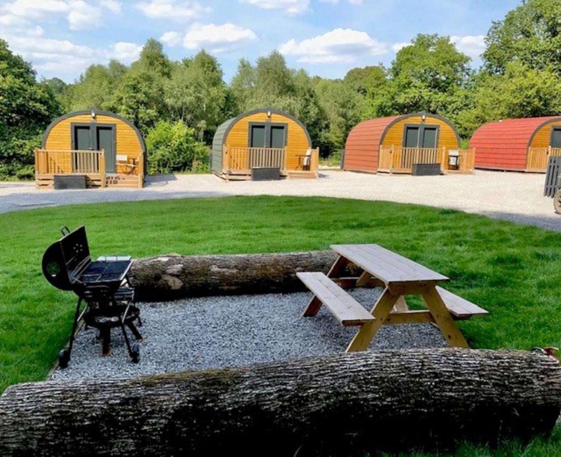 Earth Pod 2 Pet Friendly Villa Neath Eksteriør billede
